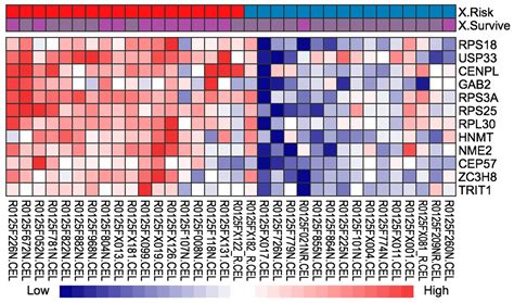 Identification of Potential Biomarkers and Biological Pathways for Poor ...