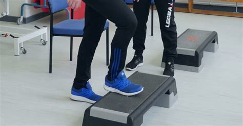 Image result for Harvard Step Formula Class 12