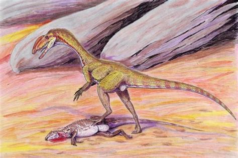 New Species of Dinosaur Discovered In Wales; 'Chief Dragon' the Oldest ...