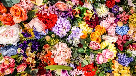 Types Of Flowers With Names And Meanings
