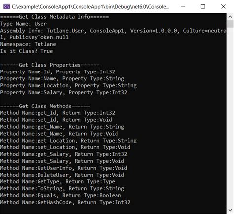 Reflection in C# Tutorial 的图像结果