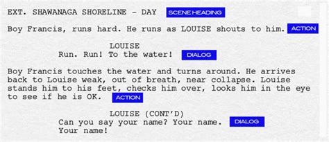 Image result for How to Set Out a Script