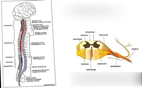 Image result for HTML and CSS and JavaScript