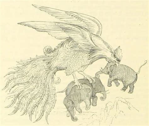 Colossal Question Mythical Creatures 的图像结果