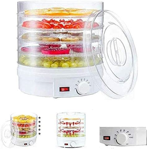 Buy ELSA ENTERPRISE 5 Layer Tray Dried Fruit Machine Food Dehydrator ...