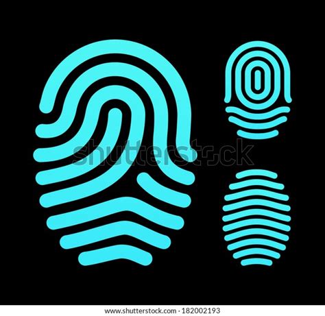 Fingerprint Types Loop Whorl Arch Vector Stock Vector (Royalty Free) 182002193 | Shutterstock