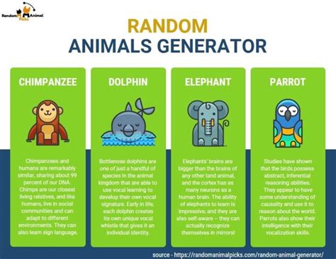 Random Animal Generator (Automated) - Random Animal Picks