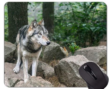 APSRA Gaming Mouse Pad,Image of Dangerous Arctic Wolf Mouse Pads 3165 ...