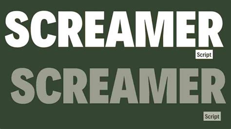 Image result for Screamsploit Scripts