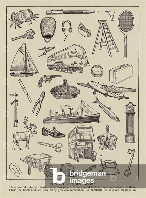 Image result for Human Memory and Structured Objects