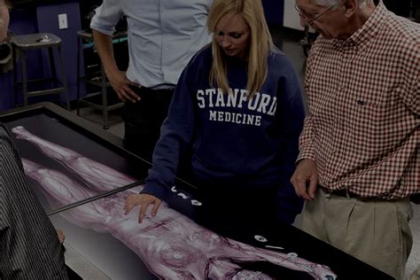 Virtual Dissection Table 的图像结果