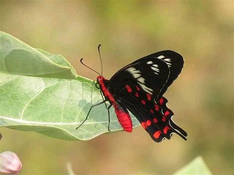 SUNDARBAN TOUR AND TRAVELS - All You Need to Know BEFORE You Go 2026 ...