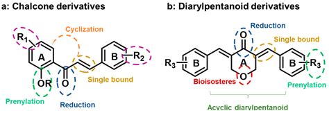Structure–Activity Relationship Studies of Chalcones and ...
