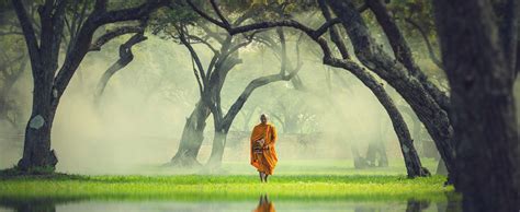 Zen Koan - ZEN BY DESIGN