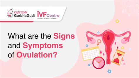 What are the Signs and Symptoms of Ovulation?