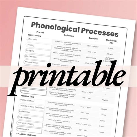 Phonological Processes Chart | PDF