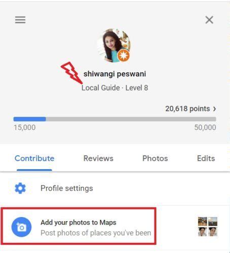 Image result for Google Local Guide Profile Sample PDF