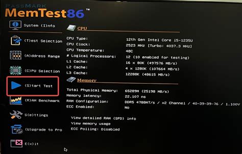 Computer Memory Test 的图像结果