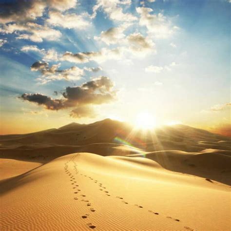 腾格里沙漠-一生中必去的沙漠徒步旅行 - 马蜂窝