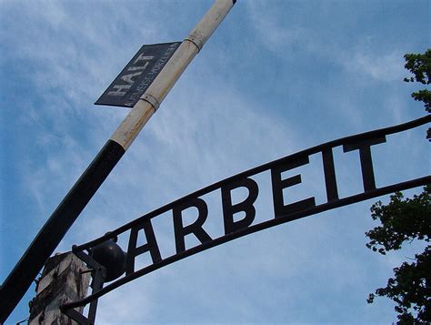 Arbeit macht frei › Turmsegler