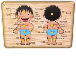 toiphy Wooden Body Parts Learning Puzzle Board Price in India - Buy ...