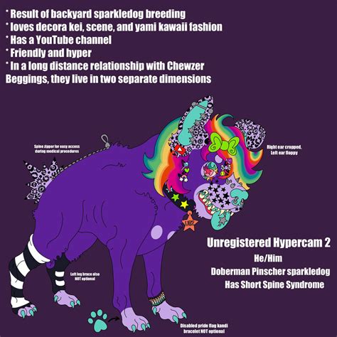 Unregistered Hypercam 2 by XxBriteCrawlerzxX on DeviantArt