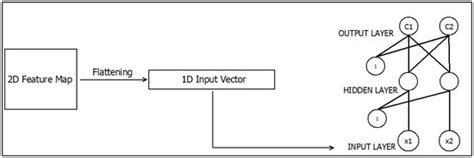 Transferring CNN Features Maps to Ensembles of Explainable Neural Networks