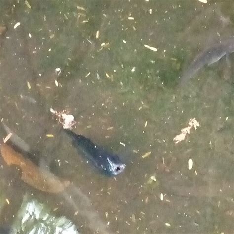 𝗧𝗛𝗘 𝟭𝟬 𝗕𝗘𝗦𝗧 Hotels in Arua of 2025 (with Prices) - Tripadvisor