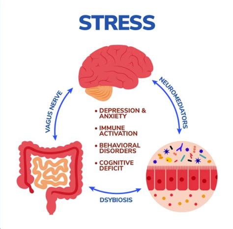 Tea vs coffee: The best drink for your gut, heart and brain