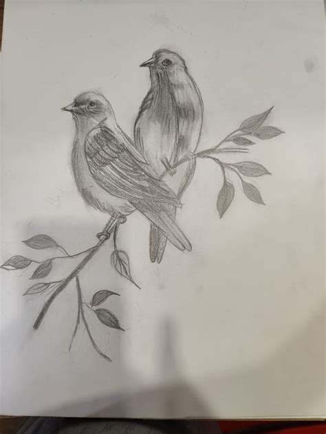 Image result for Bird Drawing Shading