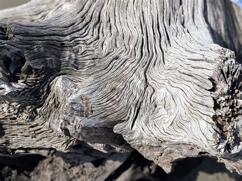 Bulls Island Ferry (2025) - All You Need to Know BEFORE You Go (w/ Reviews)