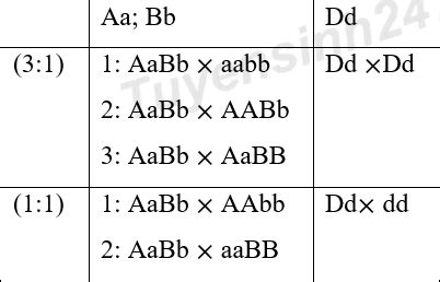 Image result for Test Driven Development Anti-Patterns Chain Gangs Example