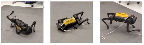 Robot Walking 的图像结果