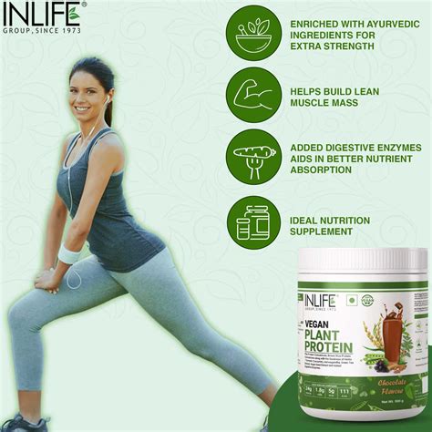 Buy INLIFE VEGAN PLANT BASED PROTEIN POWDER 24G PROTEIN BODYBUILDING ...