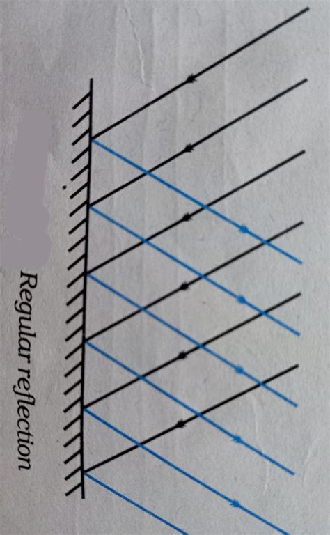 What do you mean by Reflection of light? - Brainly.in