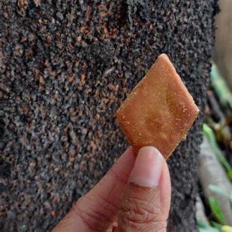 Buy Crispy Diamond Biscuits – Golden Fried Kalakala Treat Online – Tocco