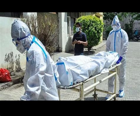 'Can't be used to estimate mortalities of...': India questions WHO's ...