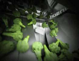 Classification and Sorting