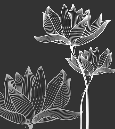 Lotus sketch Images - Free Download on Freepik