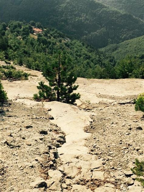 COMPLEX OLD TIMES 2 - BELINTASH (Vrata) - Lodge Reviews, Photos, Rate ...