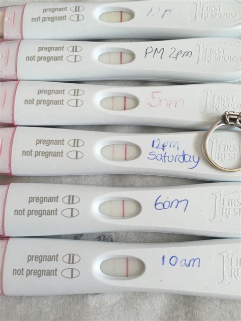 Positive Pregnancy Test After Medical Miscarriage at Grace Brentnall blog