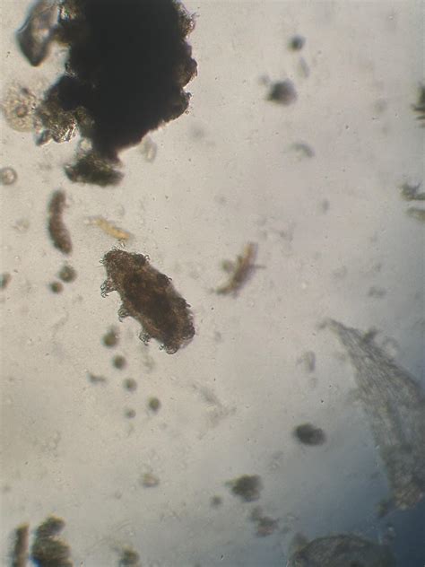 I’m not sure if this is the right subreddit. But can anyone confirm ...