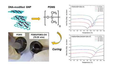 Flexible Nanocomposites Based on Polydimethylsiloxane Matrices with DNA ...