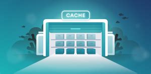 Image result for Browser Cache