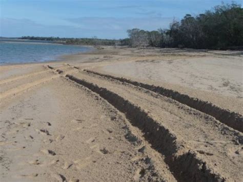 The 5 Best Hotel Deals in Woodgate (Nov 2024) - Tripadvisor