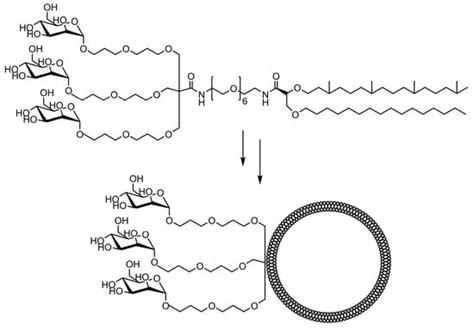 Mannose Ligands for Mannose Receptor Targeting