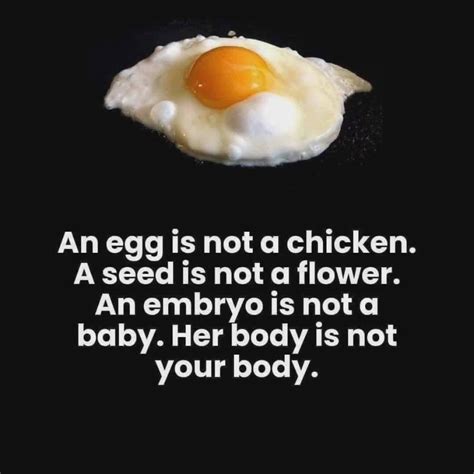 Egg Whites Quotes Do Aldi Eggs Have Religious Quotes On Their