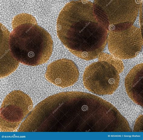 Atom Microscope 的图像结果