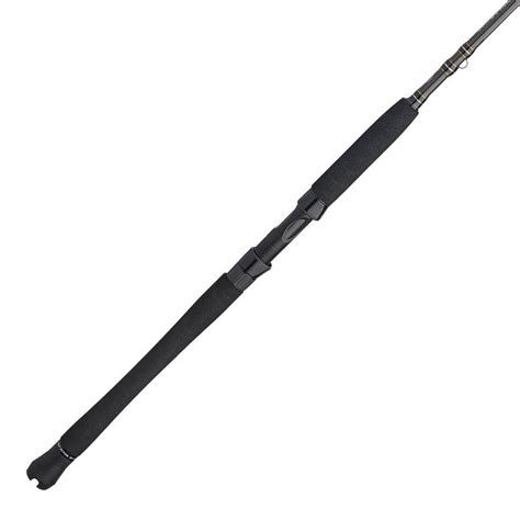 PENN Carnage III Inshore Saltwater Spinning Rod | Sportsman's Warehouse