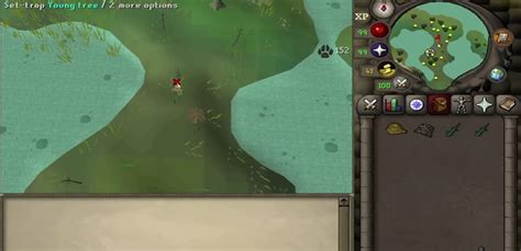 Complete 1-99 Hunter Guide for OSRS